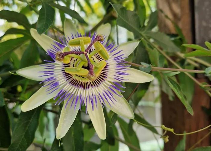 Le Refuge Du Bonheur * Bitche